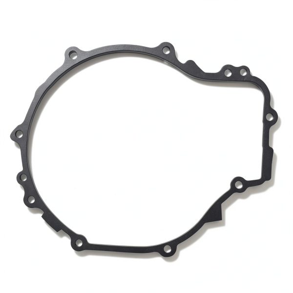 Cylinman Recoil Pull Start Gasket for Polaris 500-6
